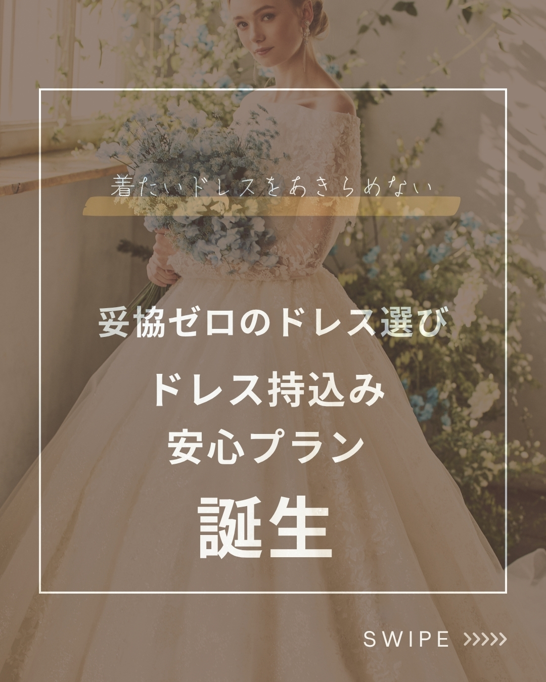 ドレス持込み安心プラン☆相談会☆